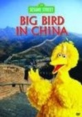 Big Bird in China pictures.