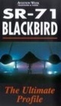 SR-71 Blackbird: The Secret Vigil - wallpapers.