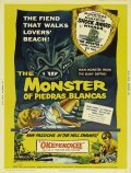 The Monster of Piedras Blancas pictures.