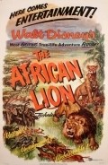 The African Lion pictures.