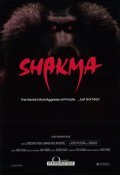 Shakma pictures.
