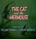 The Cat and the Mermouse pictures.