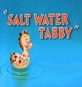 Salt Water Tabby pictures.