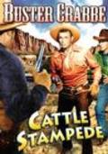 Cattle Stampede - wallpapers.