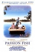 Passion Fish - wallpapers.