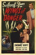 Wings of Danger - wallpapers.
