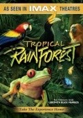 Tropical Rainforest pictures.