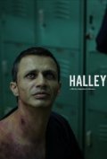 Halley - wallpapers.