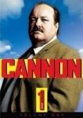 Cannon pictures.