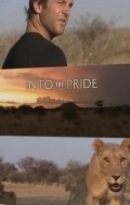 Into the Pride pictures.