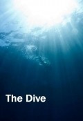 The Dive - wallpapers.