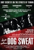 Dog Sweat pictures.