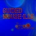 Guided Mouse-Ille pictures.