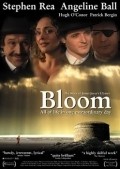 Bloom pictures.