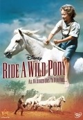 Ride a Wild Pony - wallpapers.