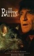 Die Rattin pictures.