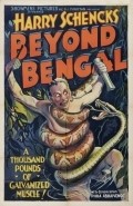 Beyond Bengal pictures.