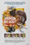 Breakout pictures.