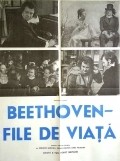 Beethoven - Tage aus einem Leben - wallpapers.