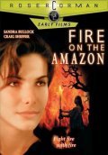Fire on the Amazon - wallpapers.