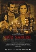 Guz sancisi - wallpapers.