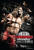 WWE Elimination Chamber pictures.
