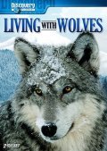 Living with Wolves - wallpapers.