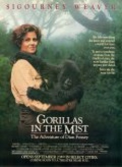 Gorillas in the Mist: The Story of Dian Fossey - wallpapers.