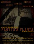 Plotted Plants - wallpapers.