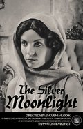 The Silver Moonlight - wallpapers.