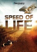 Speed of Life - wallpapers.