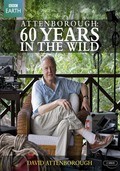 Attenborough: 60 Years in the Wild - wallpapers.