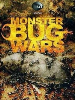 Monster Bug Wars! - wallpapers.