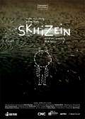 Skhizein pictures.