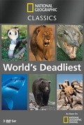 World's deadliest animals - wallpapers.