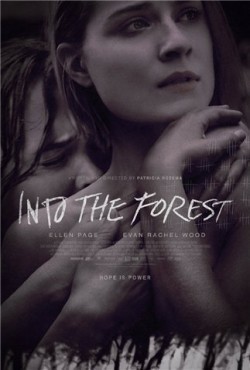 Into the Forest - wallpapers.
