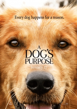 A Dog's Purpose pictures.