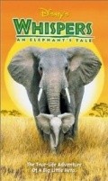 Whispers: An Elephant's Tale - wallpapers.