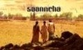 Saanncha pictures.