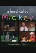 A Ferret Called Mickey pictures.