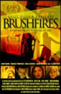 Brushfires pictures.