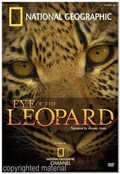Eye of the Leopard - wallpapers.