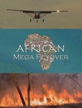 African Mega Flyover pictures.