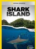 Shark Island pictures.