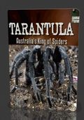 Tarantula- Australia's King of Spiders pictures.