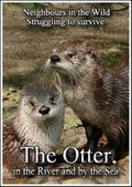 Neighbours in the Wild. Struggling to survive. The Otter, in the River and by the Sea pictures.