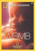In the womb pictures.