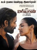 Maryan pictures.
