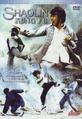 Shaolin Kung Fu pictures.