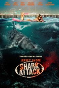 Jersey Shore Shark Attack - wallpapers.